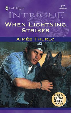 Title details for When Lightning Strikes by Aimée Thurlo - Available